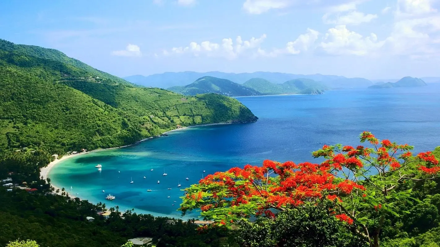 科技节能独特
